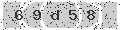 verify code