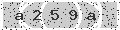 verify code