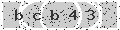 verify code