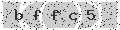 verify code
