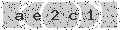verify code