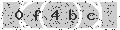 verify code