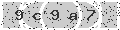 verify code