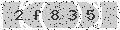 verify code
