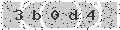 verify code
