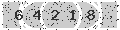verify code