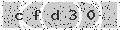 verify code
