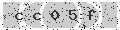 verify code