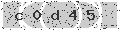 verify code
