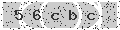 verify code