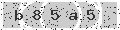 verify code