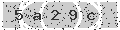 verify code