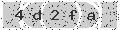 verify code