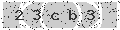 verify code