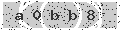 verify code