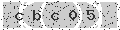 verify code