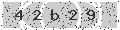 verify code