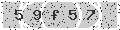 verify code
