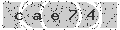 verify code