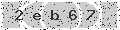 verify code