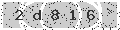 verify code