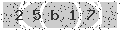 verify code
