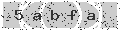 verify code