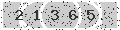 verify code