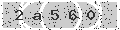 verify code