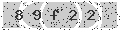 verify code