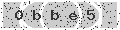 verify code