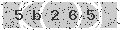 verify code