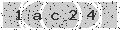 verify code