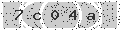 verify code