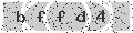 verify code