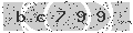verify code