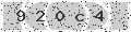 verify code