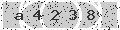 verify code