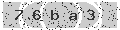 verify code