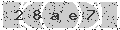 verify code