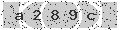 verify code