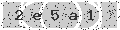 verify code