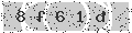 verify code