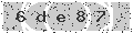 verify code