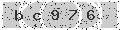 verify code