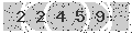 verify code