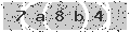 verify code