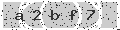 verify code