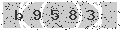 verify code