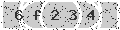 verify code
